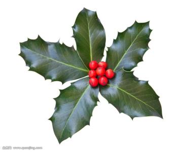 ÎÒ¹ú½¨Á¢·¿µØ²ú´û¿î¼¯ÖжȹÜÀíÖÆ¶È ÒâÒåºÎÔÚ£¿