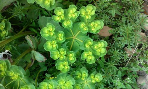 Êг¡¼à¹Ü×ܾÖ:·¢ÏÖÍøÊÛÏû·ÑÆ·´æÔÚȱÏÝÓ¦Á¢¼´ÕÙ»Ø