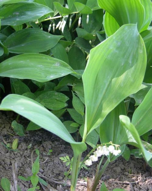 ֹ棡㶫ҵӲʵȫ˻ŽչֶೡڿƼ