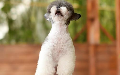 70¹ڷȷﲡ ۼƱ8610