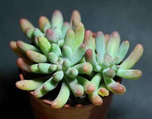 ×îлã×Ü!È«¹ú¹²ÓÐ22¸öµØÇøµ÷ÕûΪÖзçÏÕµØÇø