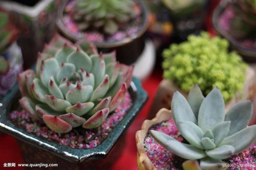 лªÎ¢ÆÀ£º¡°³ÙÀ´µÄµÀǸ¡±¸ø³Ï®ÕßÇÃÏ쾯ÖÓ