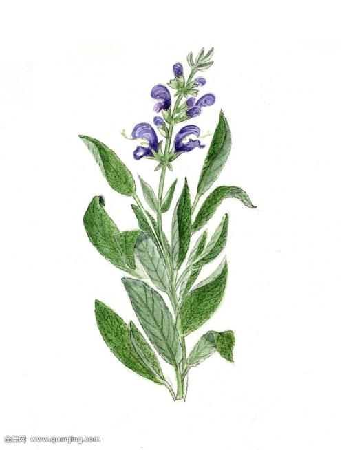 ¾Û½¹ÐÂʯÆ÷ʱ´ú ¹ú¼ÒÎÄÎï¾Öͨ±¨4ÏîÖØÒª¿¼¹Å³É¹û