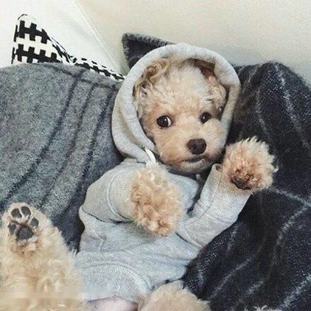 ¬ٰʾƷгģ48Ԫҵ͸ʽԼ5%